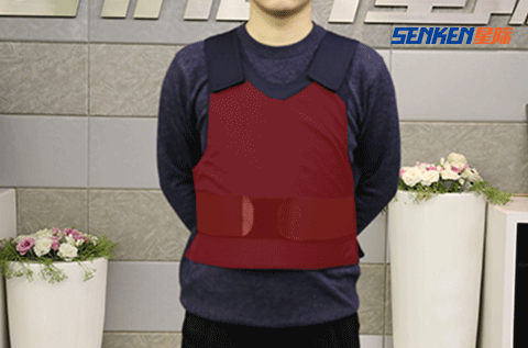 SUÍOMH FRITH-STAP (2)